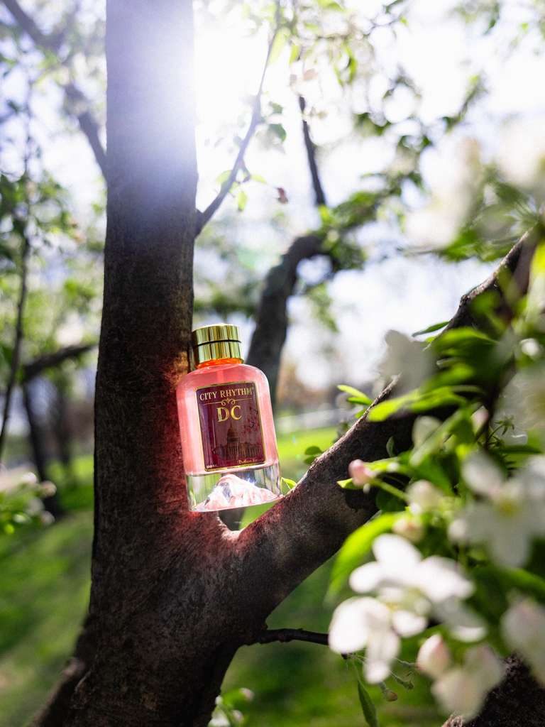 DC | City Rhythm – City Rhythm Fragrance